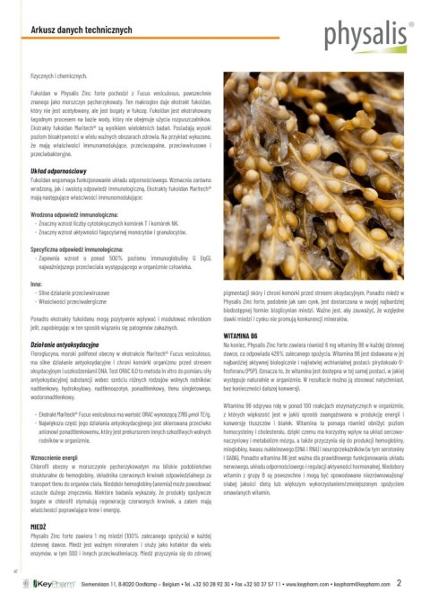 CYNK FORTE 30 TABLETEK - PHYSALIS CYNK FORTE 30 TABLETEK - PHYSALIS