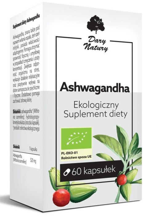 ASHWAGANDHA BIO (520 mg) 60 KAPSUŁEK - DARY NATURY ASHWAGANDHA BIO (520 mg) 60 KAPSUŁEK - DARY NATURY