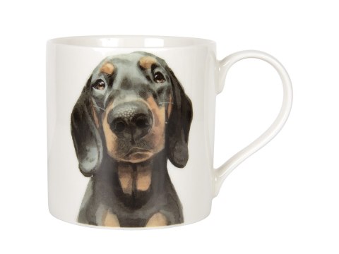 Kubek - Dachshund Kubek - Dachshund