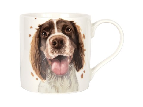 Kubek - Springer Spaniel Kubek - Springer Spaniel