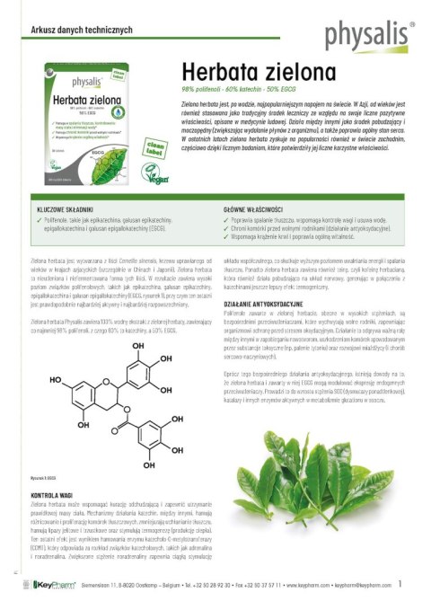 HERBATA ZIELONA 30 TABLETEK - PHYSALIS