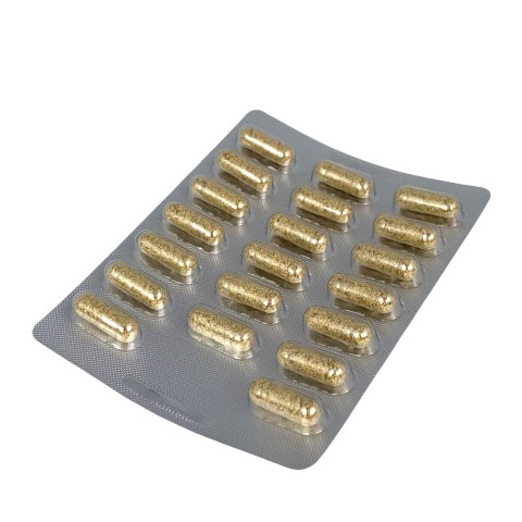 B17 Apricarc 1600mg, 180kaps. TEREZIA