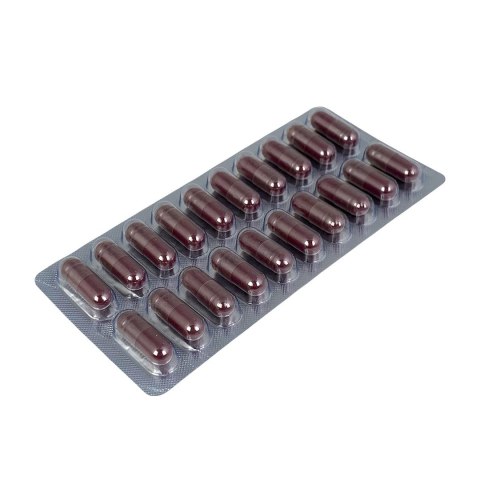 MEDICA HERBS Czarny bez 520mg, 60 kaps.