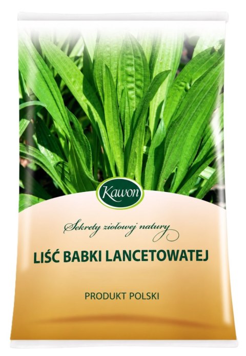 Babka lancetowata liść 50g KAWON