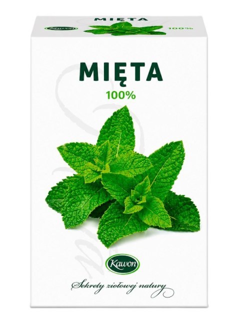 Mięta fix 30*2g KAWON