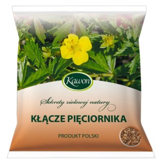 Pięciornik kłącze 50g KAWON