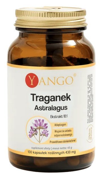 YANGO Traganek Astragalus - ekstrakt 10:1 340mg, 100 kaps.
