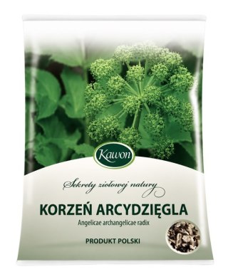 Arcydzięgiel korzeń 50g KAWON