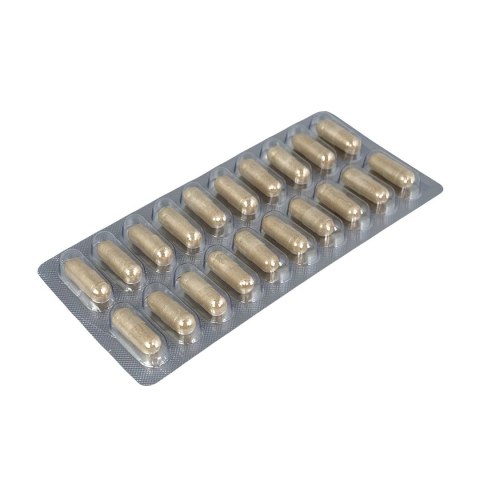 MEDICA HERBS Imbir Lekarski 600mg, 60 kaps.