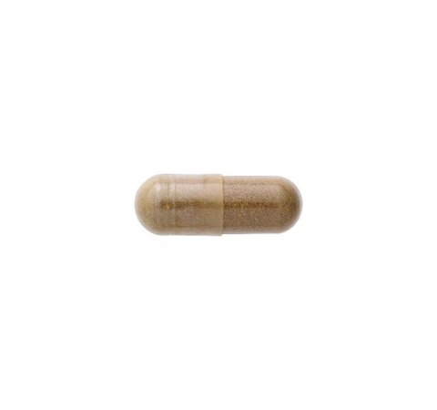 SWANSON Cordyceps 600mg, 120 kaps.