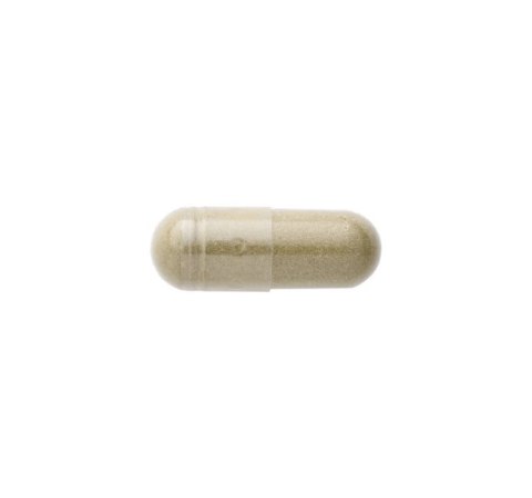 SWANSON Echinacea 400mg, 100kaps.