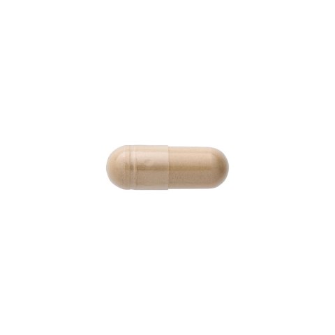 SWANSON Ginger Root 540mg, 100kaps. - Imbir