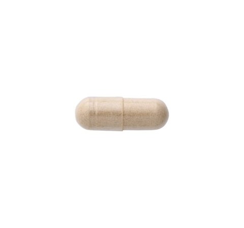 SWANSON Milk Thistle 500mg, 100kaps. - Ostropest plamisty