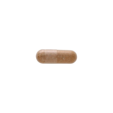 SWANSON Shilajit extract 400mg, 60 vcaps. - mumio