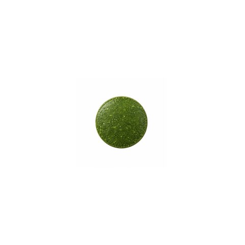 100% Chlorella Pyrenoidosa 80g (200mg, 400tabl.) BOF